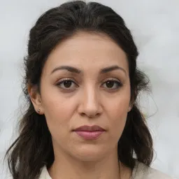 Lý Văn Hùng avatar